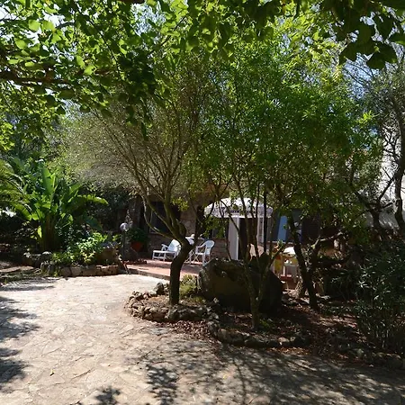 Le Orchidee * Porto Rotondo