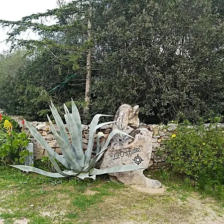 Le Orchidee 度假居