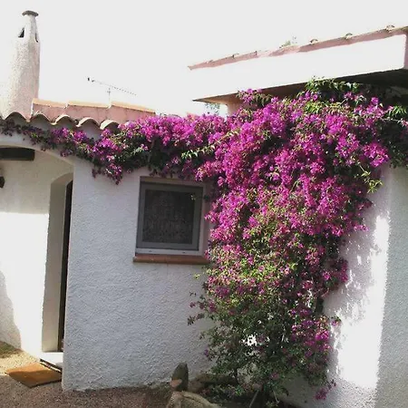 度假居 Le Orchidee *